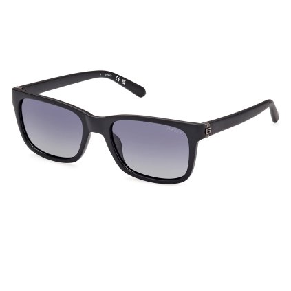 Slunecni bryle GUESS GU00066 02D 002